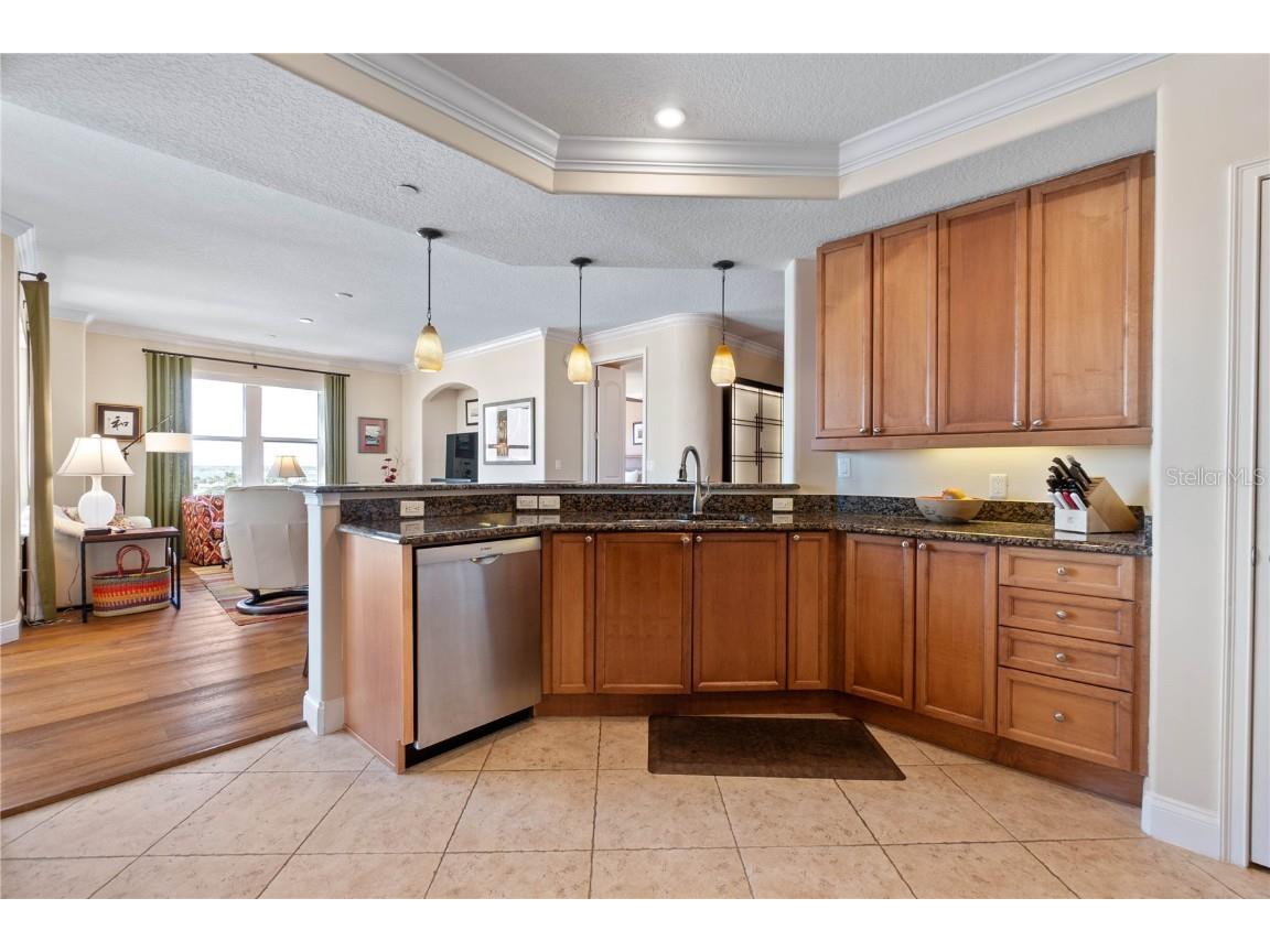 2515 S Atlantic Avenue #509 Daytona Beach FL 32118 V4941704 image4