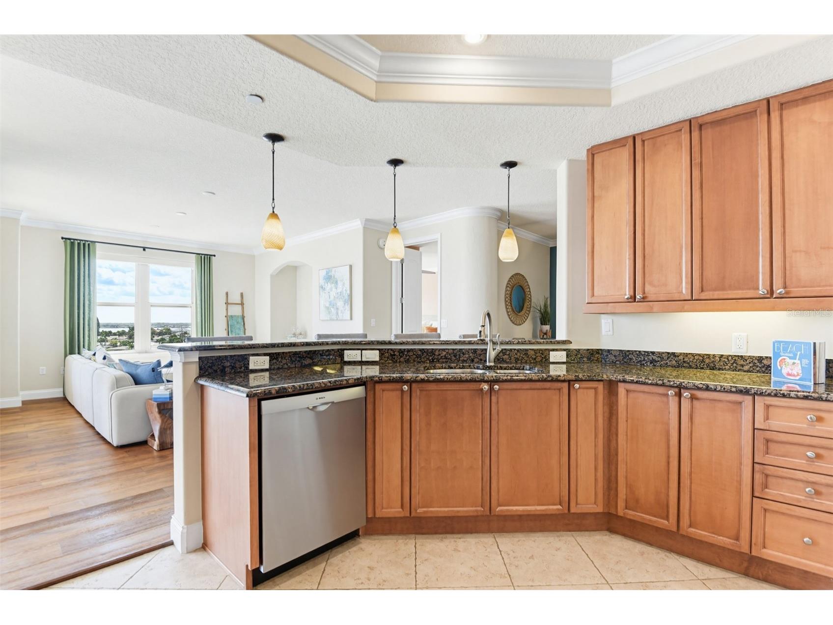 2515 S Atlantic Avenue #509 Daytona Beach FL 32118 V4947857 image21