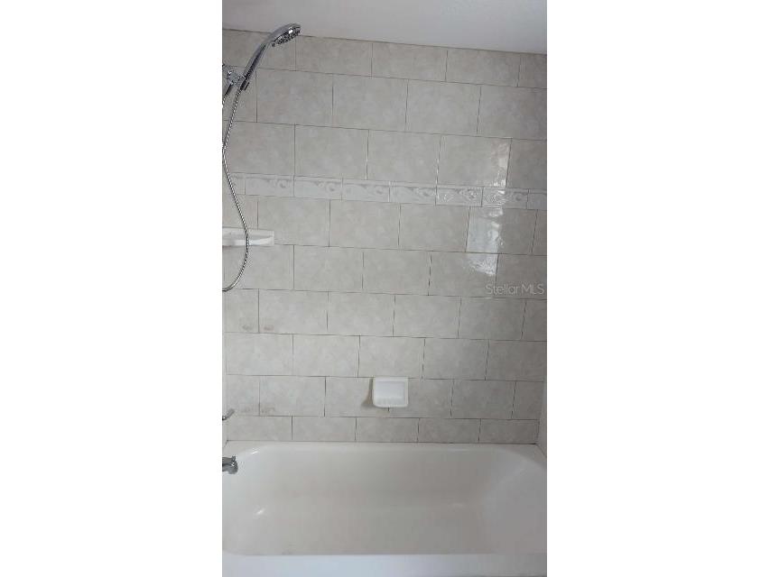 2515 W Braddock Street Tampa FL 33607 TB8420799 image12