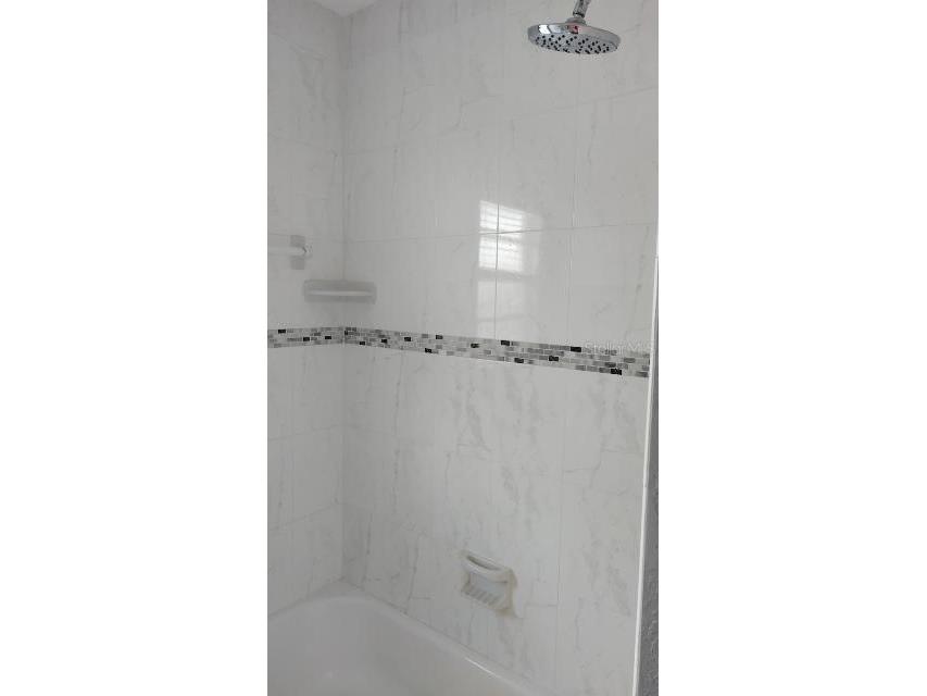 2515 W Braddock Street Tampa FL 33607 TB8420799 image6