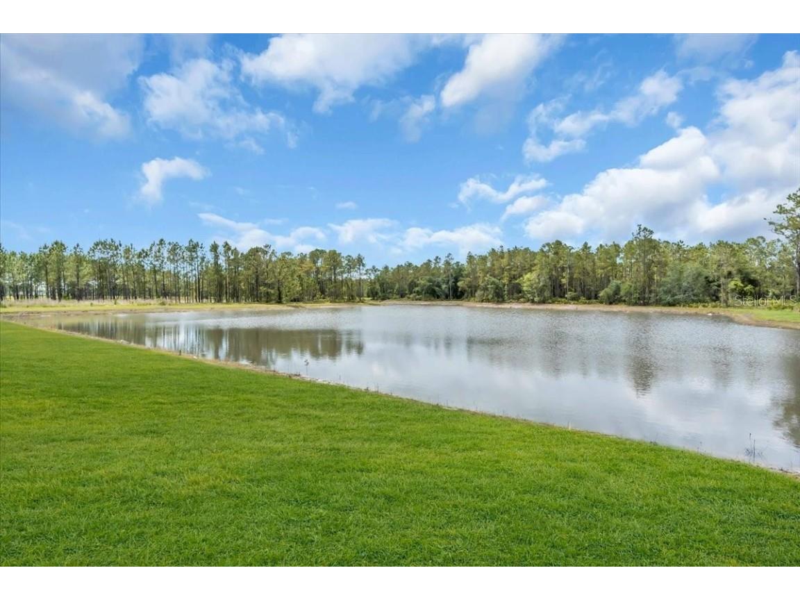 2515 Wise River Lane Zephyrhills FL 33539 O6255867 image19