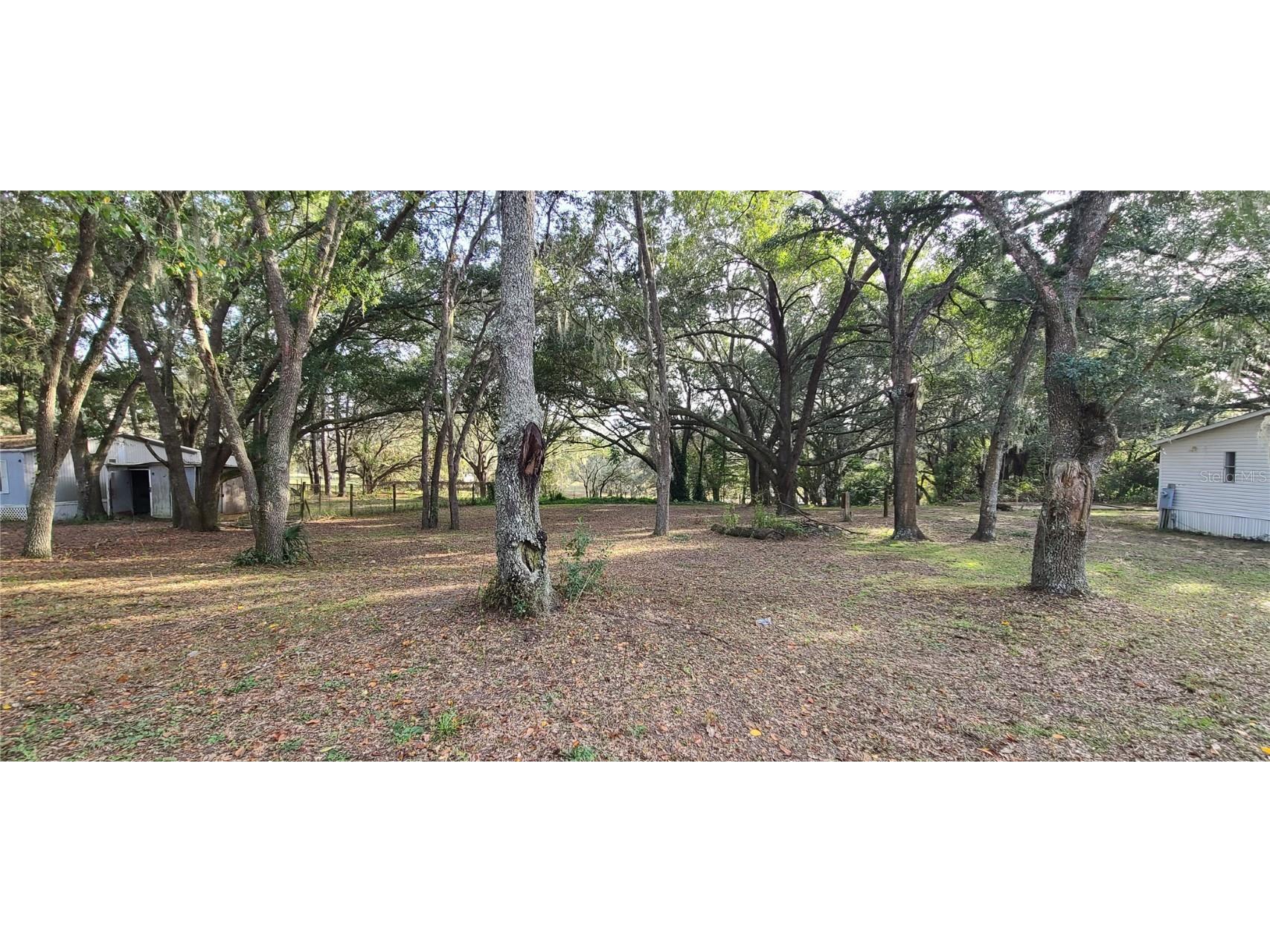 25150 SE 172nd Street Umatilla FL 32784 G5099580 image1