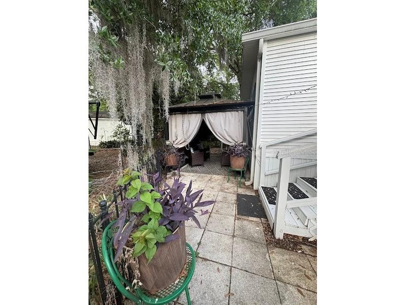 25155 NE 142nd Lane #212 Fort Mc Coy FL 32134 - LITTLE LAKE KERR OM723165 image12