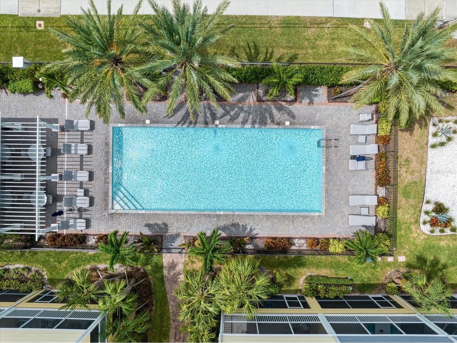 2516 Coral Court Indian Rocks Beach FL 33785 TB8467115 image28