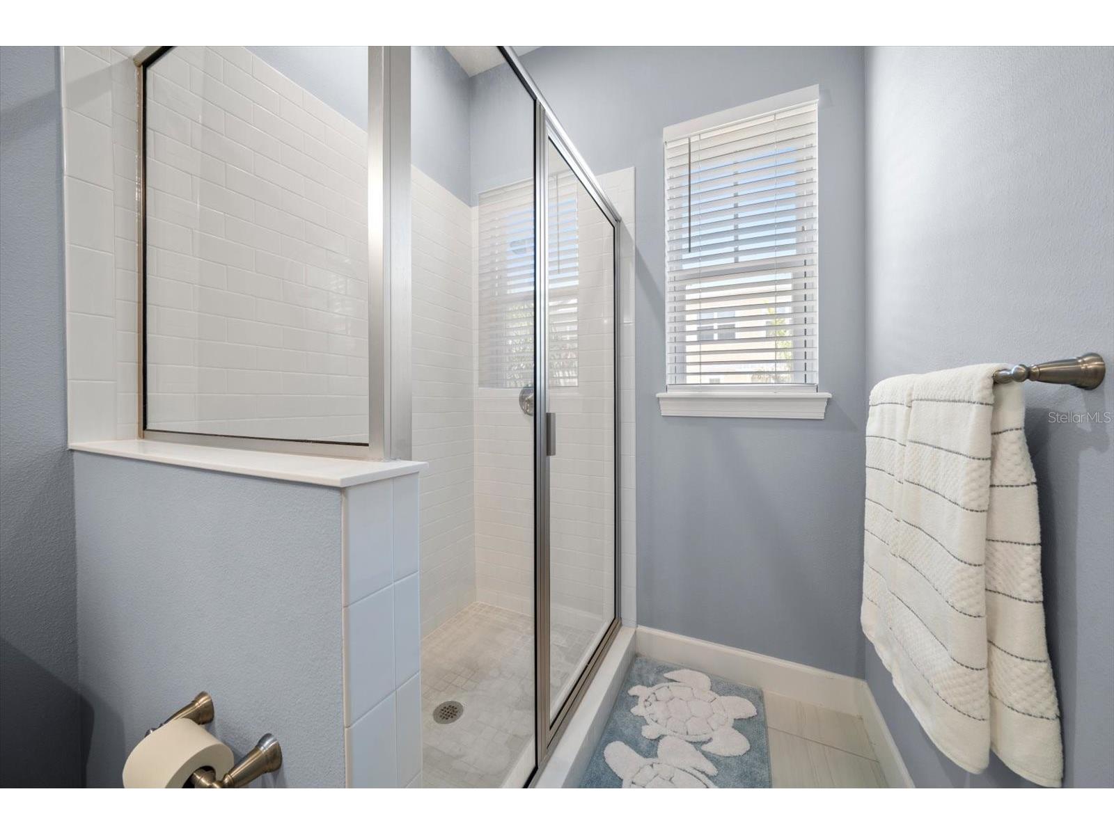 2516 Coral Court Indian Rocks Beach FL 33785 TB8467115 image42