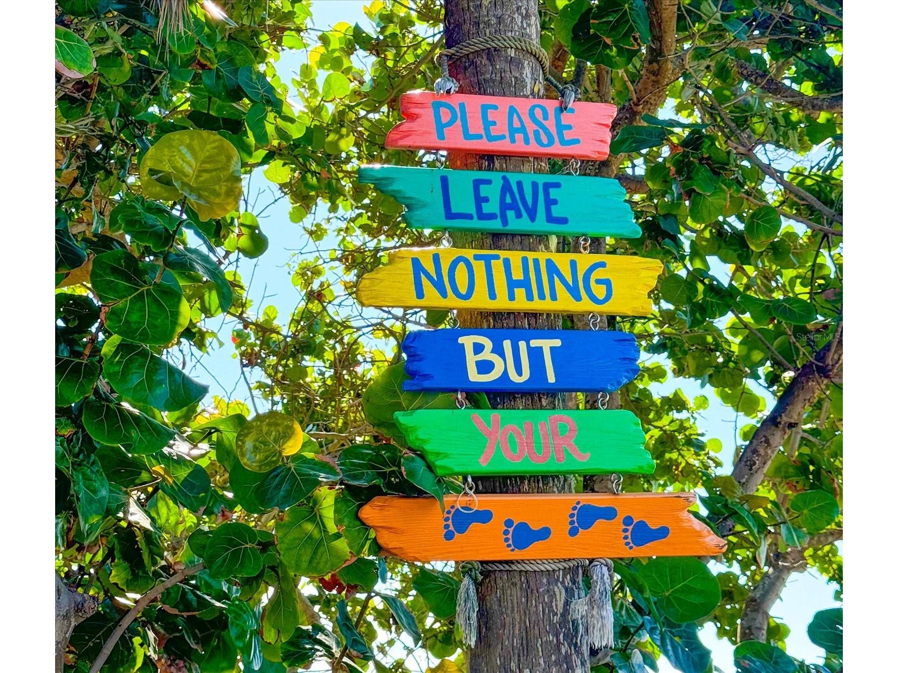 2516 Coral Court Indian Rocks Beach FL 33785 TB8467115 image61