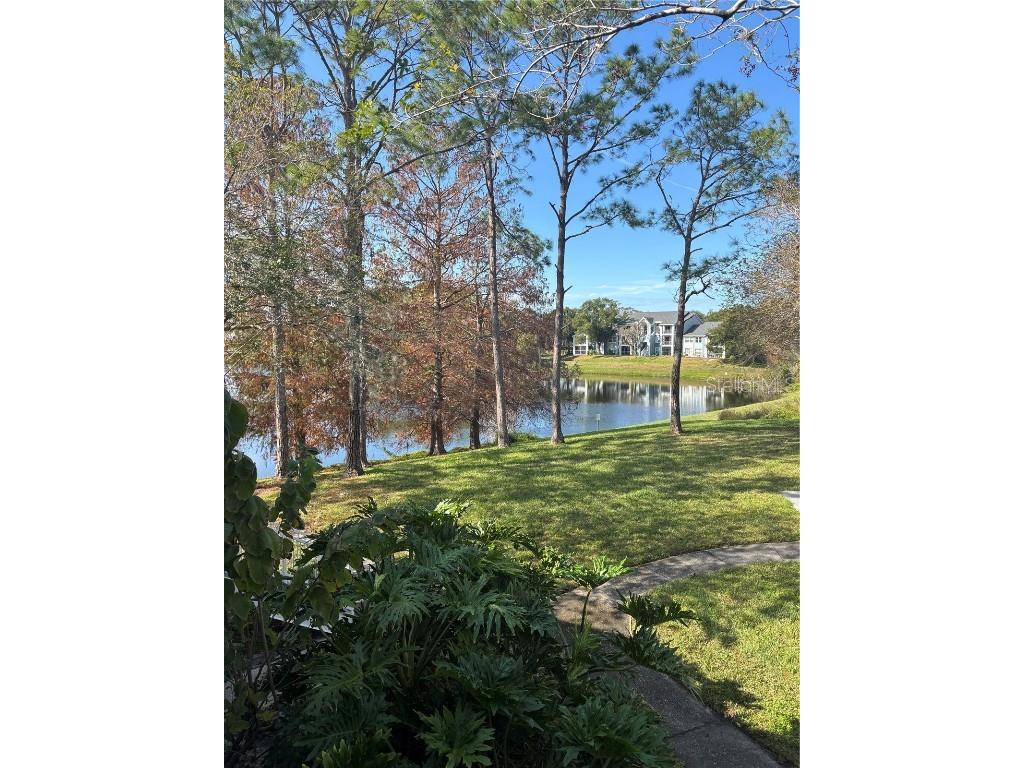 2516 Grassy Point Drive #210 Lake Mary FL 32746 O6266119 image1