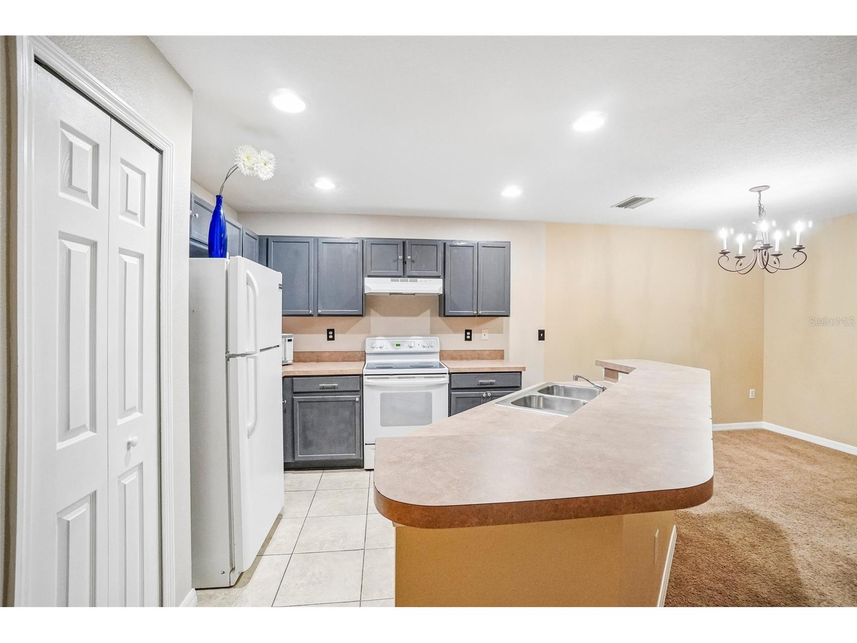 2516 Oleander Lakes Drive Brandon FL 33511 A4698885 image10