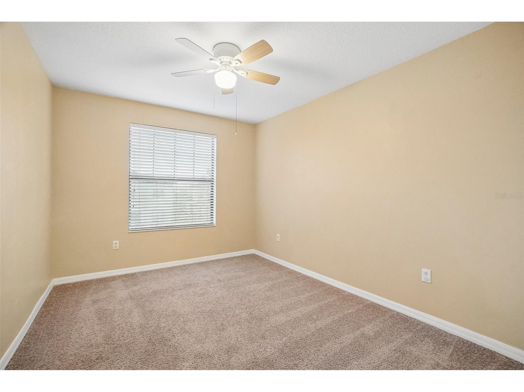 2516 Oleander Lakes Drive Brandon FL 33511 A4698885 image26