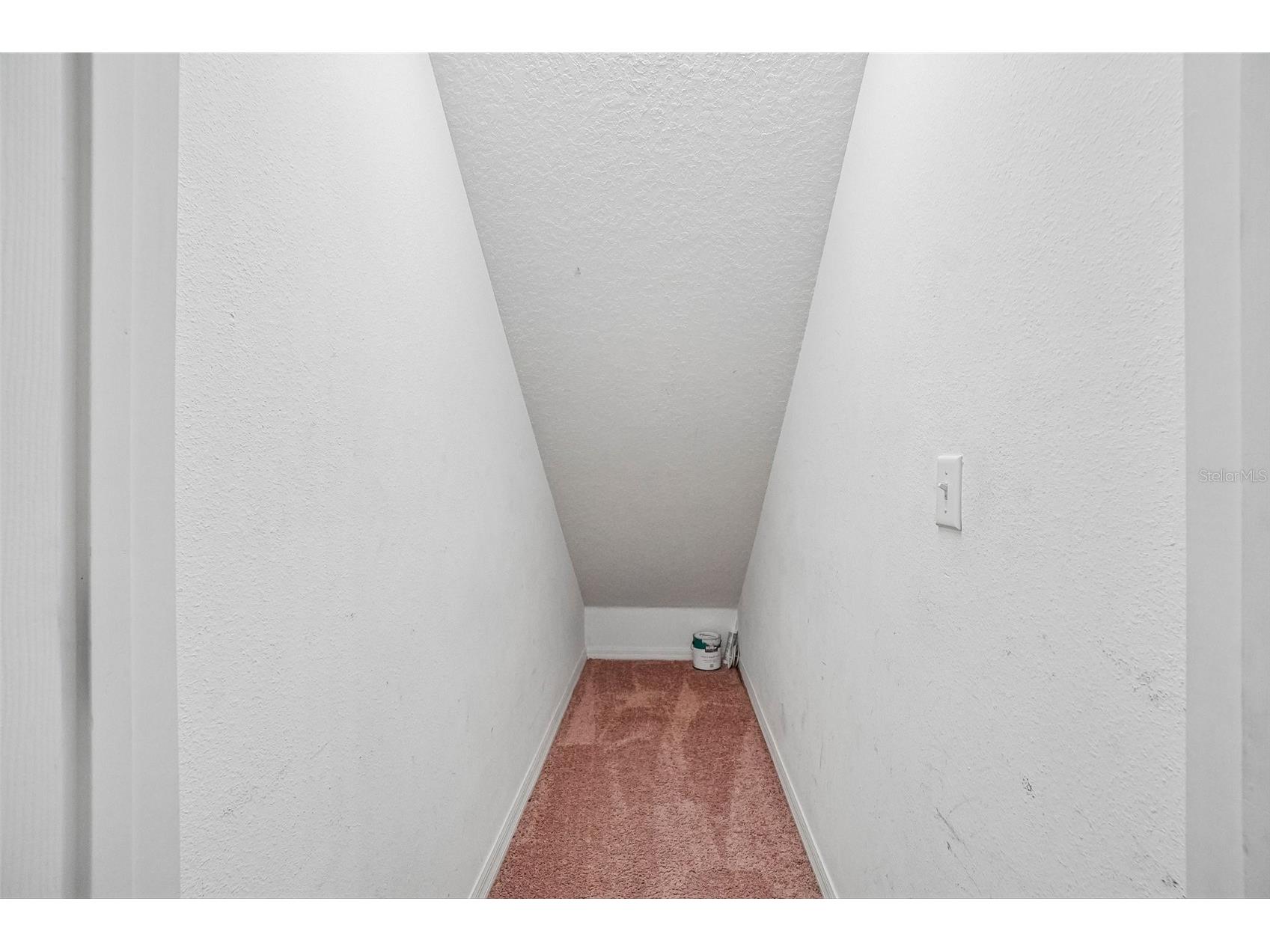 2516 Oleander Lakes Drive Brandon FL 33511 A4698885 image30
