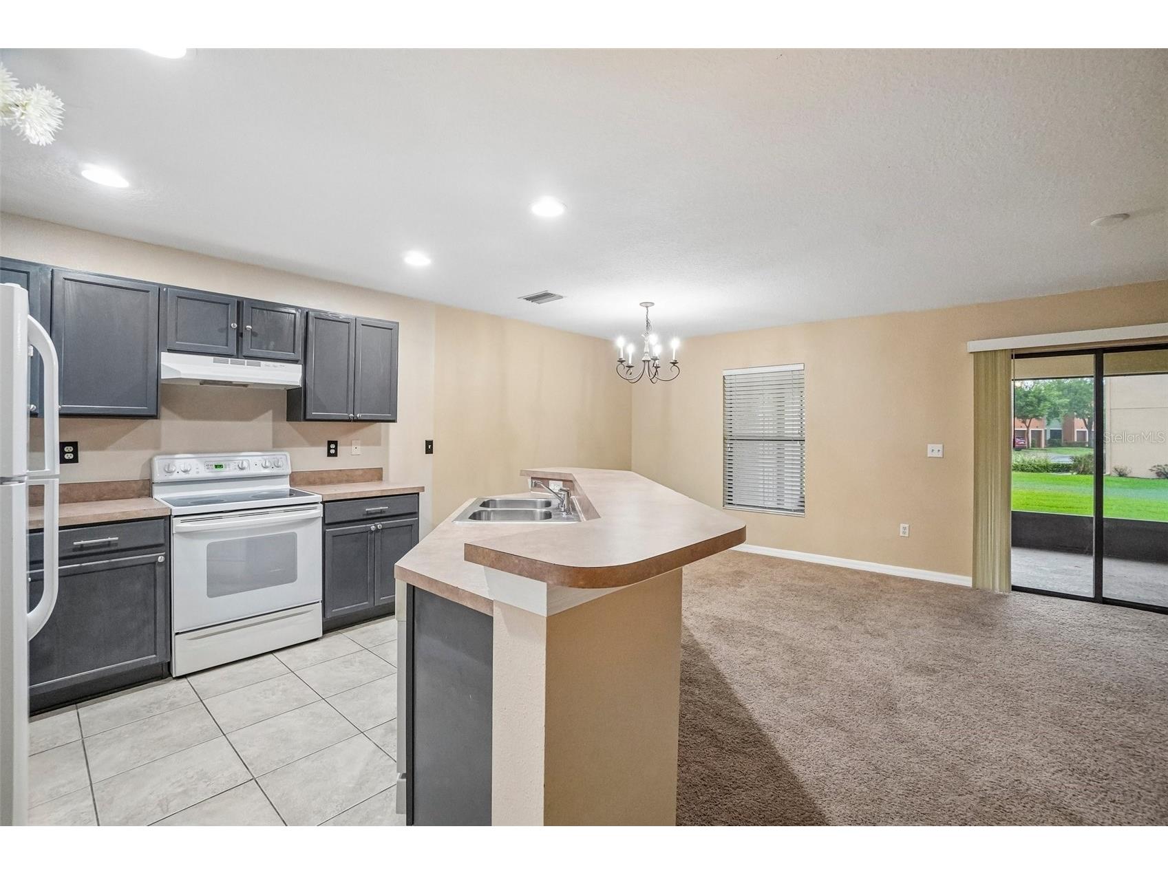 2516 Oleander Lakes Drive Brandon FL 33511 A4698885 image9