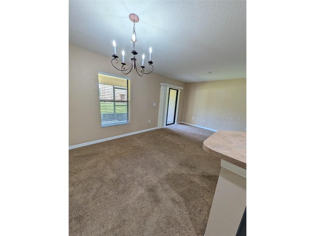 2516 Oleander Lakes Drive Brandon FL 33511 TB8431683 image10