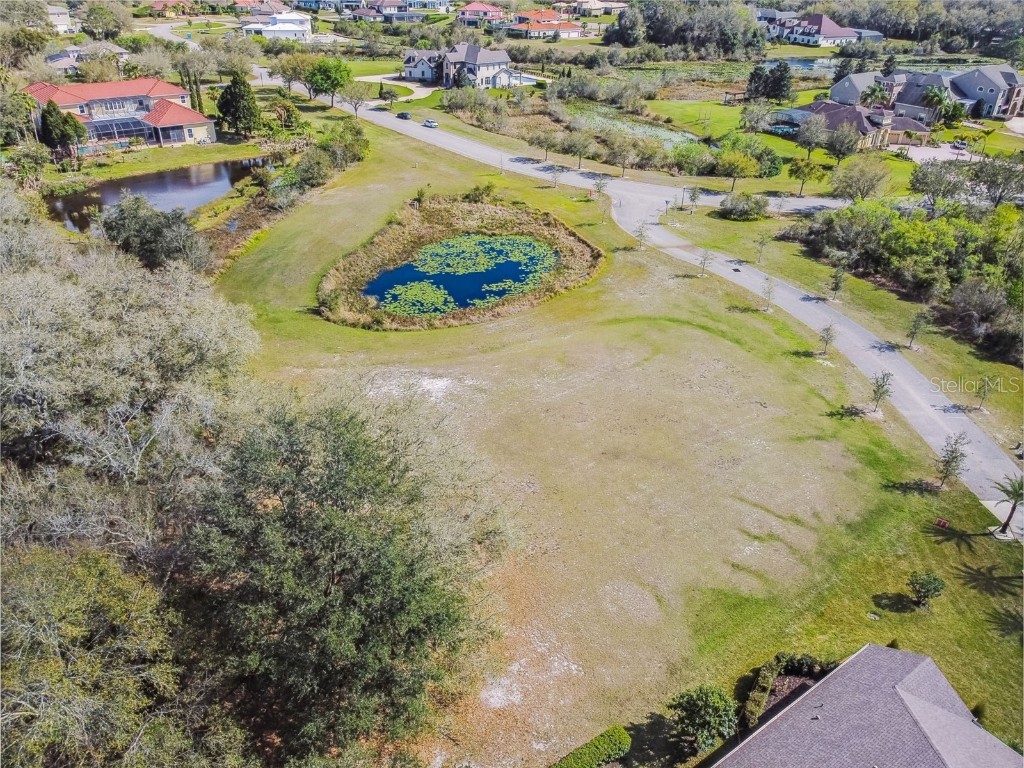 2516 Tylers River Run Lutz FL 33559 T3430963 image1