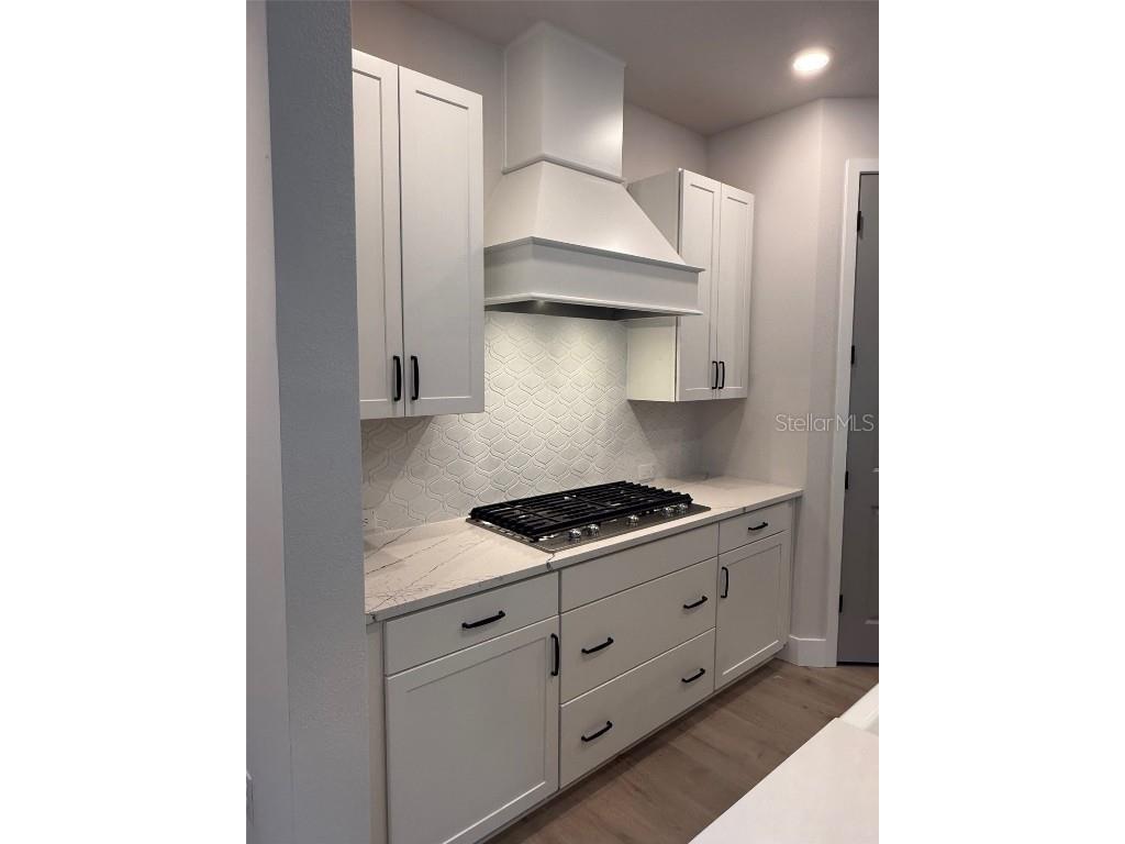 2516 W Palm Drive #2 Tampa FL 33629 TB8408628 image8