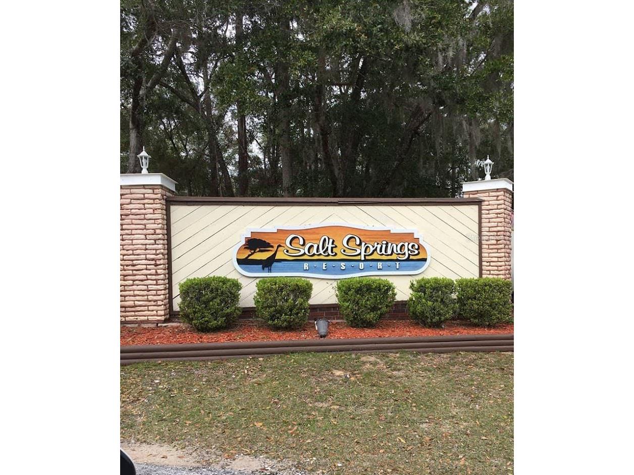 25160 140th Loop NE Salt Springs FL 32134 - LITTLE LAKE KERR OM719709 image6