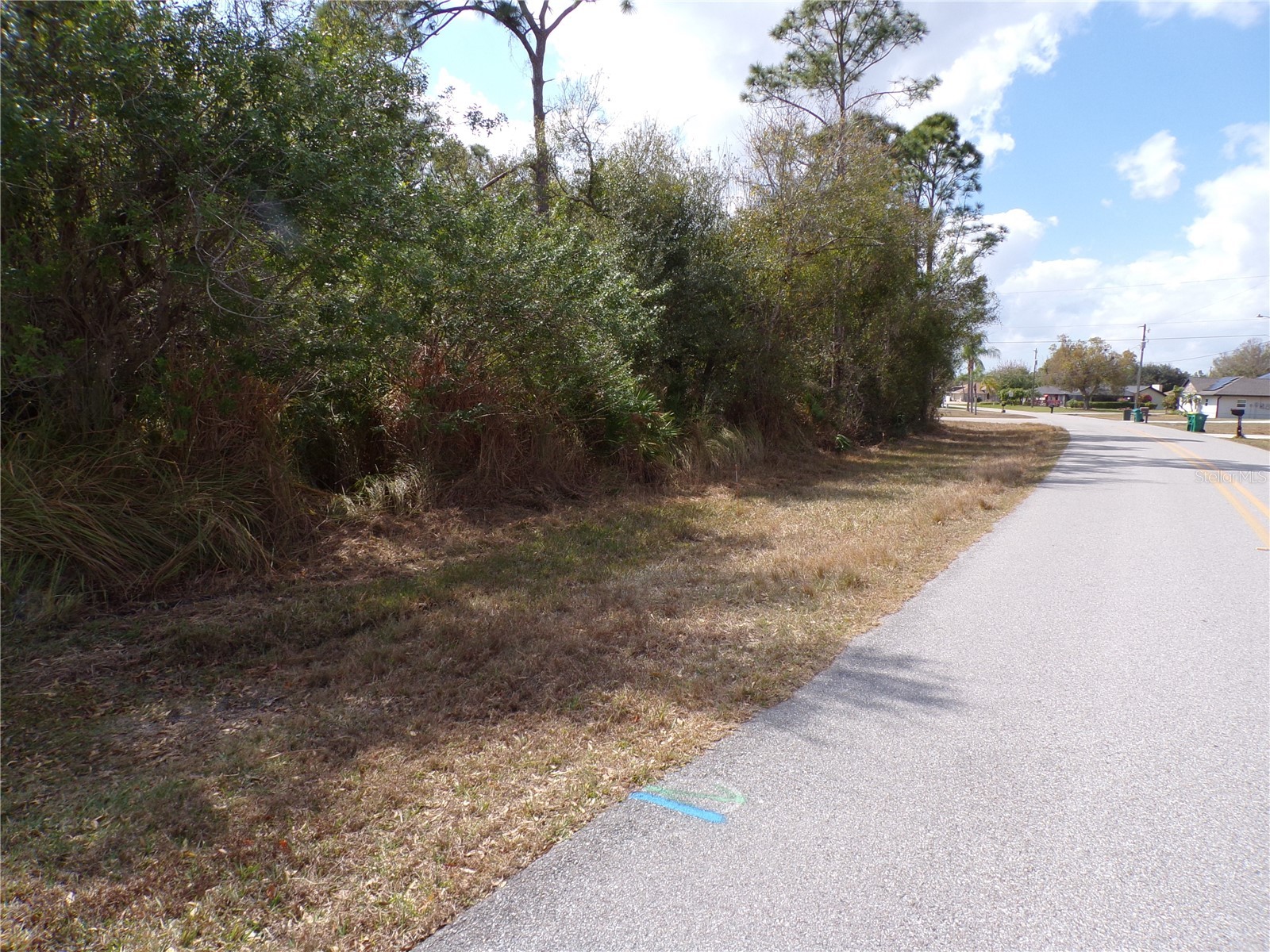 25161 Aysen Drive Punta Gorda FL 33983 C7522634 image18