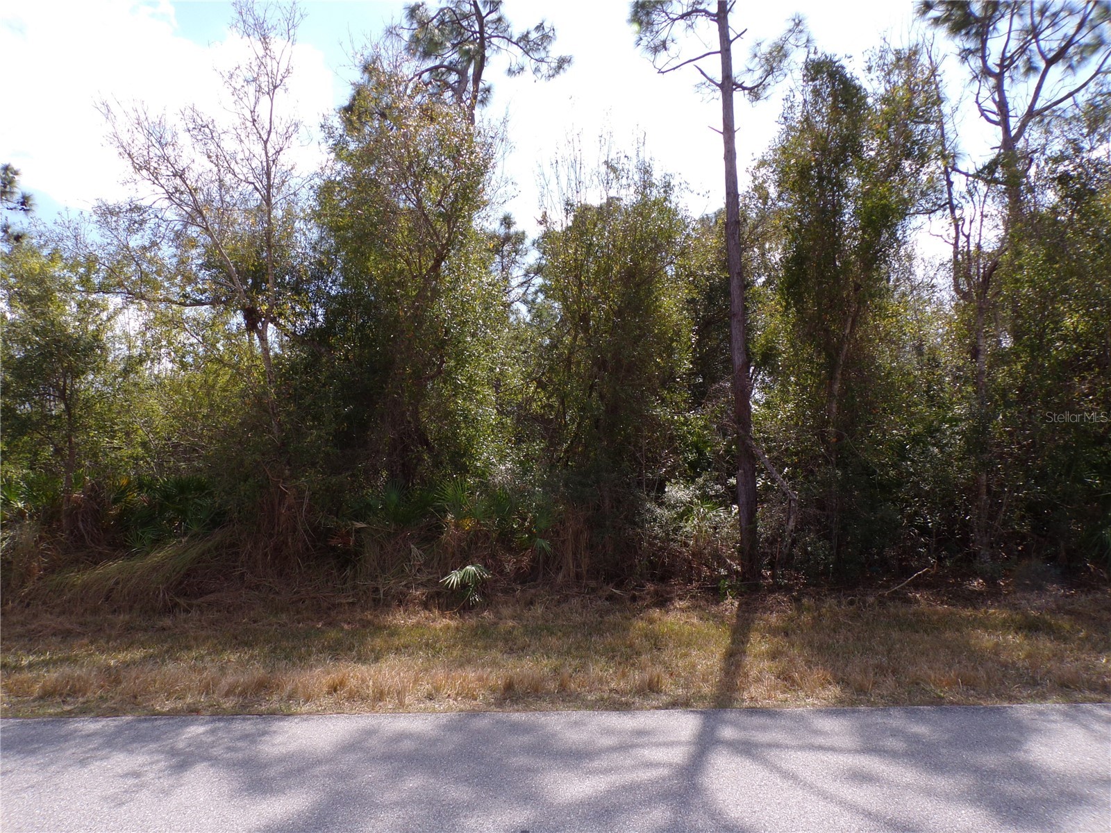 25161 Aysen Drive Punta Gorda FL 33983 C7522634 image19