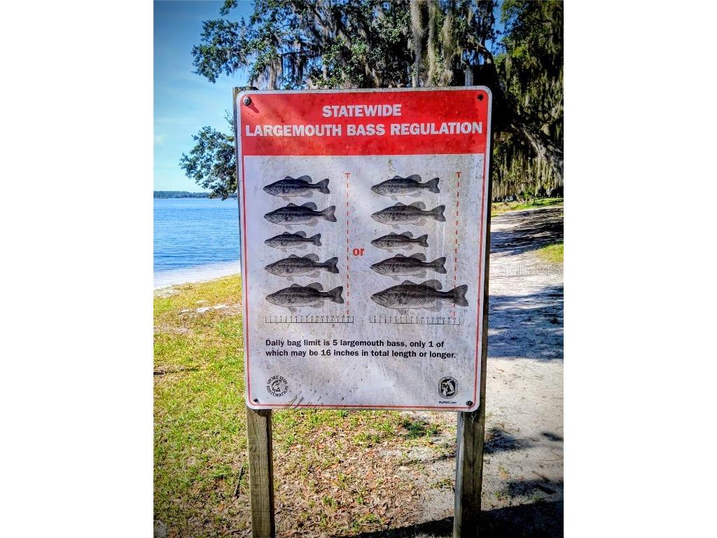 25164 NE 140th Loop #239 Salt Springs FL 32134 O6355329 image25