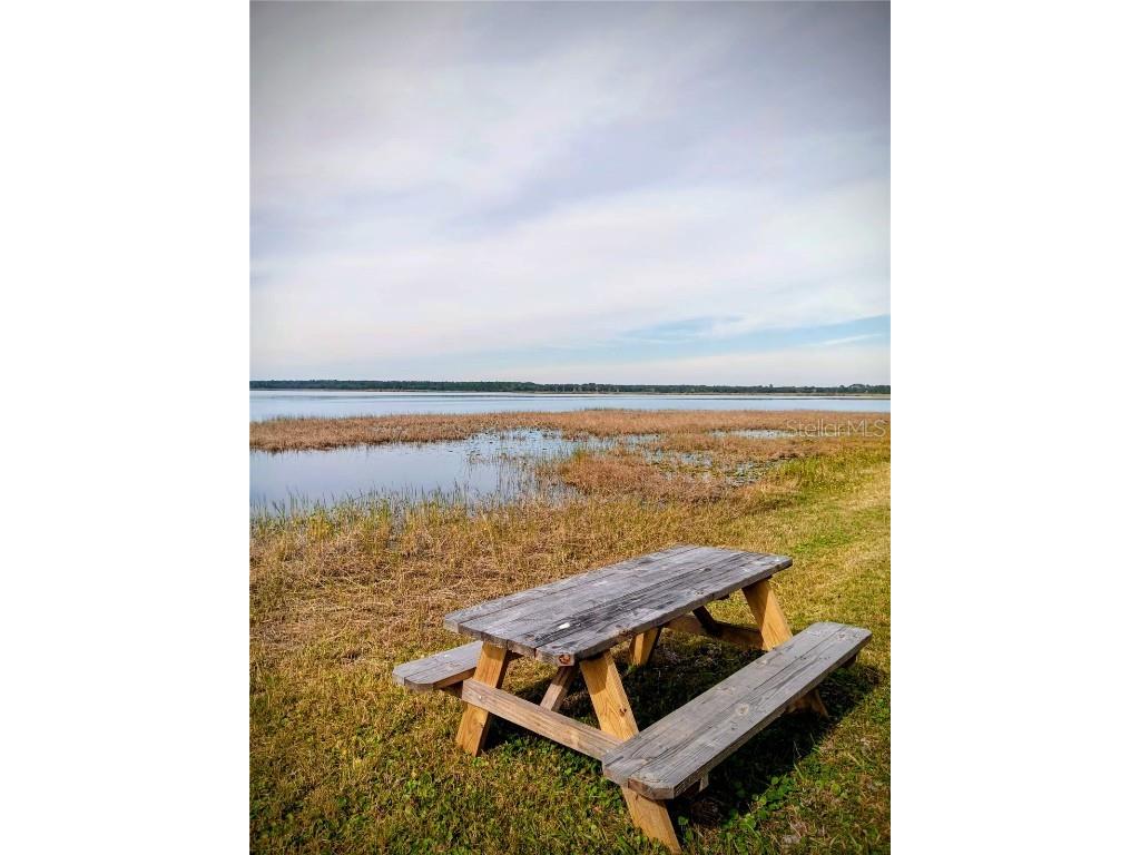 25164 NE 140th Loop #239 Salt Springs FL 32134 O6355329 image28