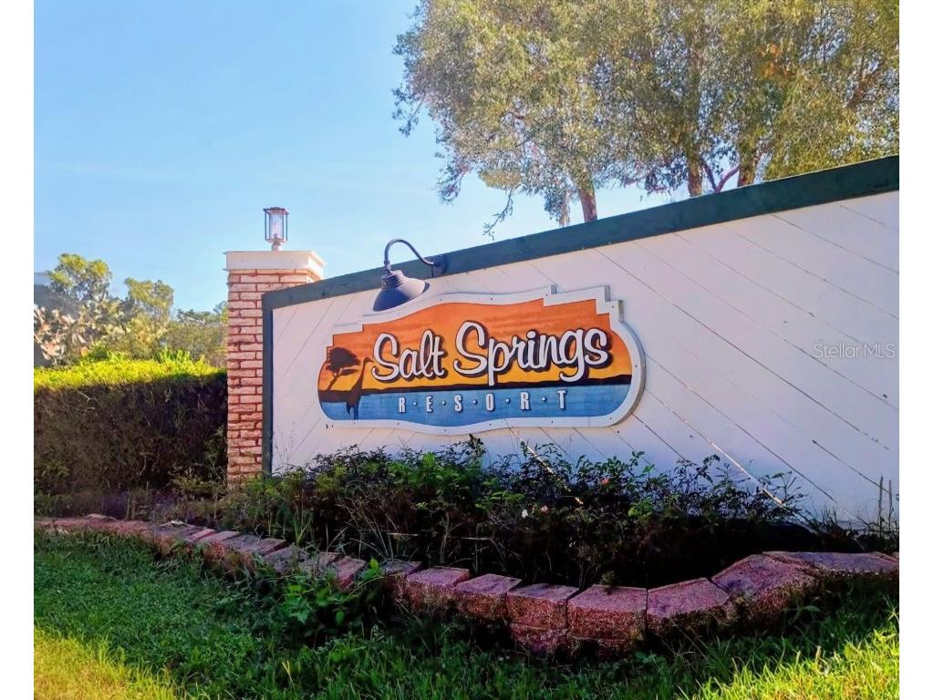 25164 NE 140th Loop #239 Salt Springs FL 32134 O6355329 image3