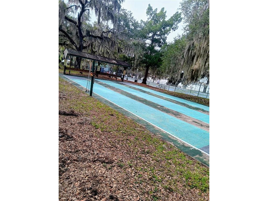 25164 NE 140th Loop #239 Salt Springs FL 32134 O6355329 image32