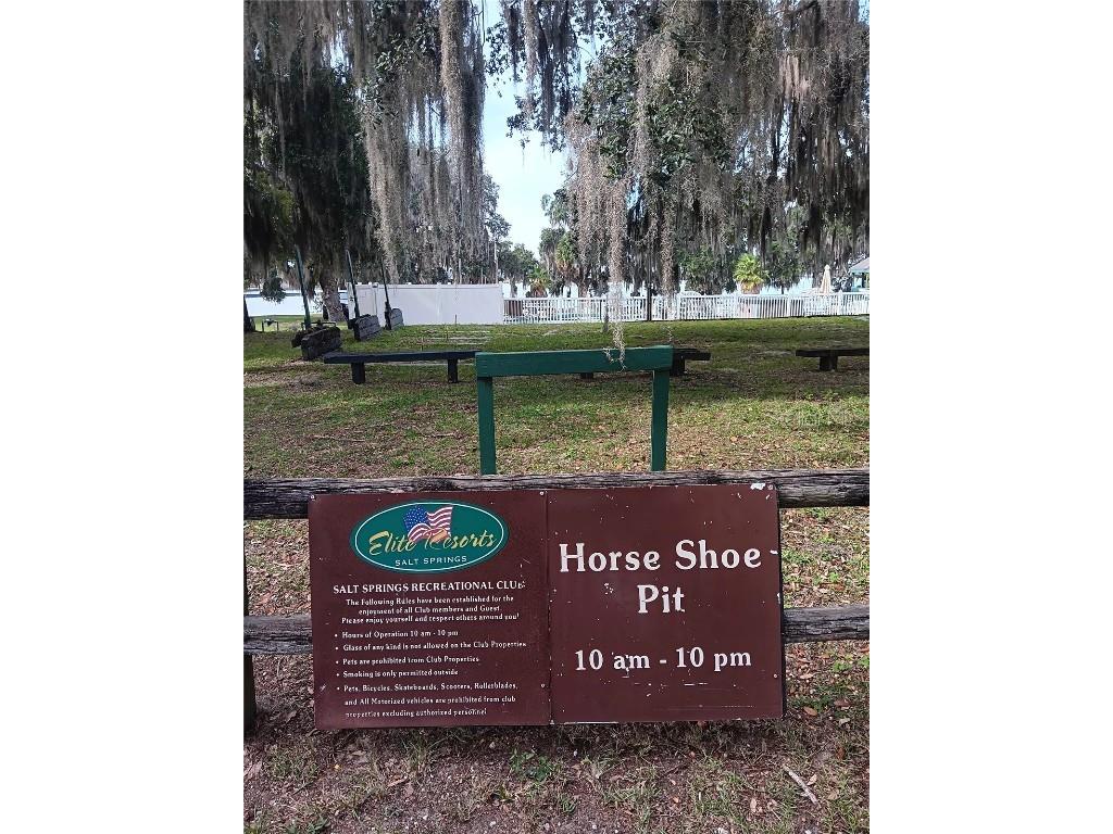 25164 NE 140th Loop #239 Salt Springs FL 32134 O6355329 image33