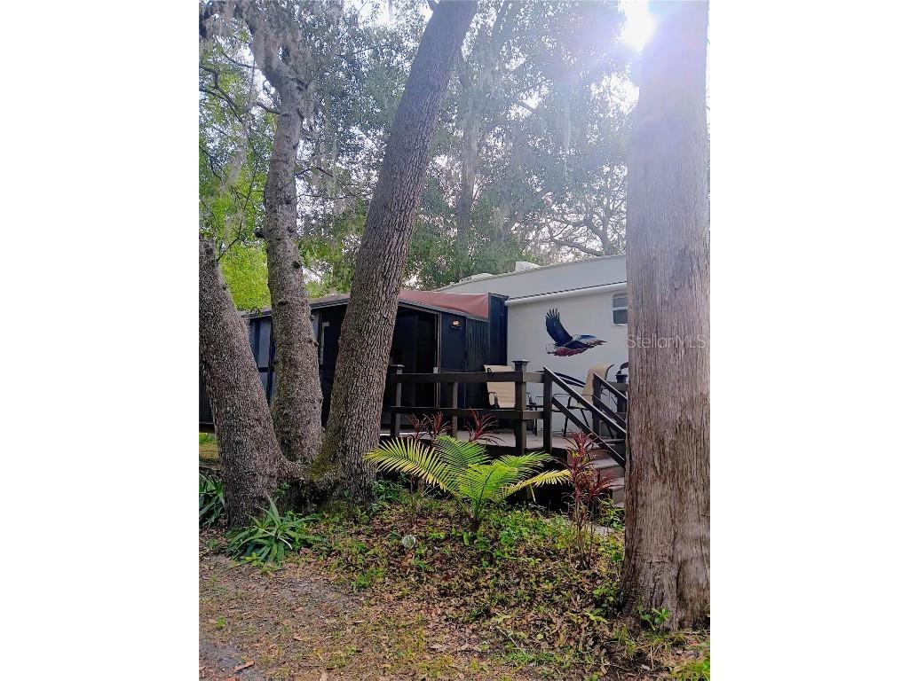 25164 NE 140th Loop #239 Salt Springs FL 32134 O6355329 image5