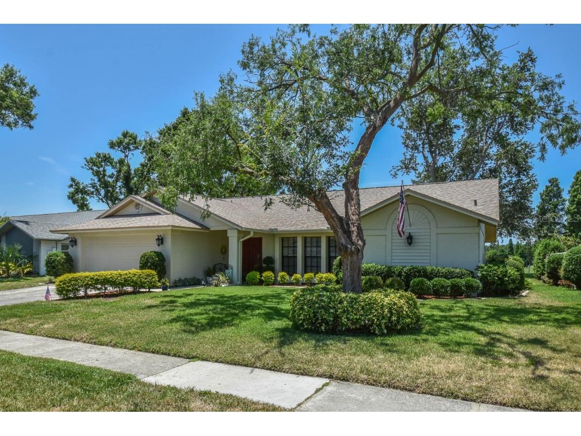 2517 Bucknell Drive Valrico FL 33596 TB8388837 image1