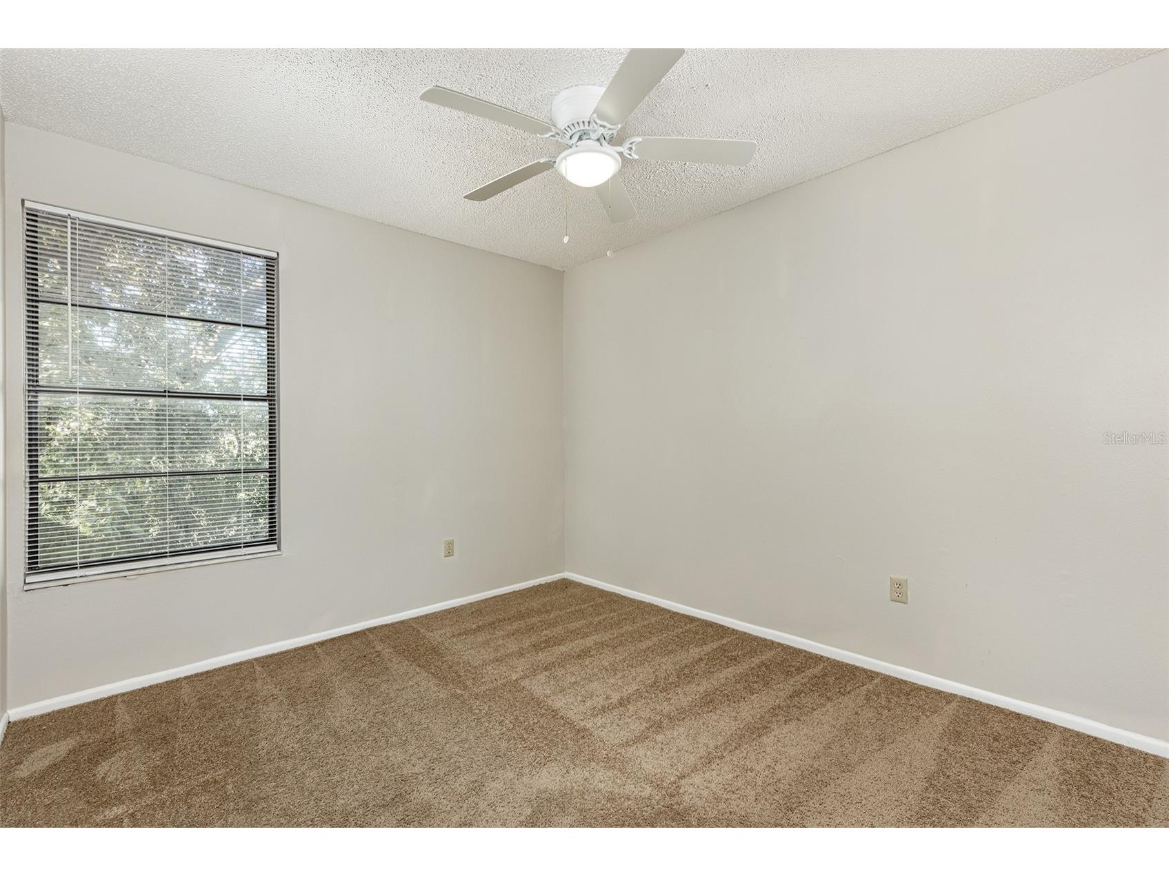 2517 E Stanley Matthew Circle Tampa FL 33604 TB8519150 image12
