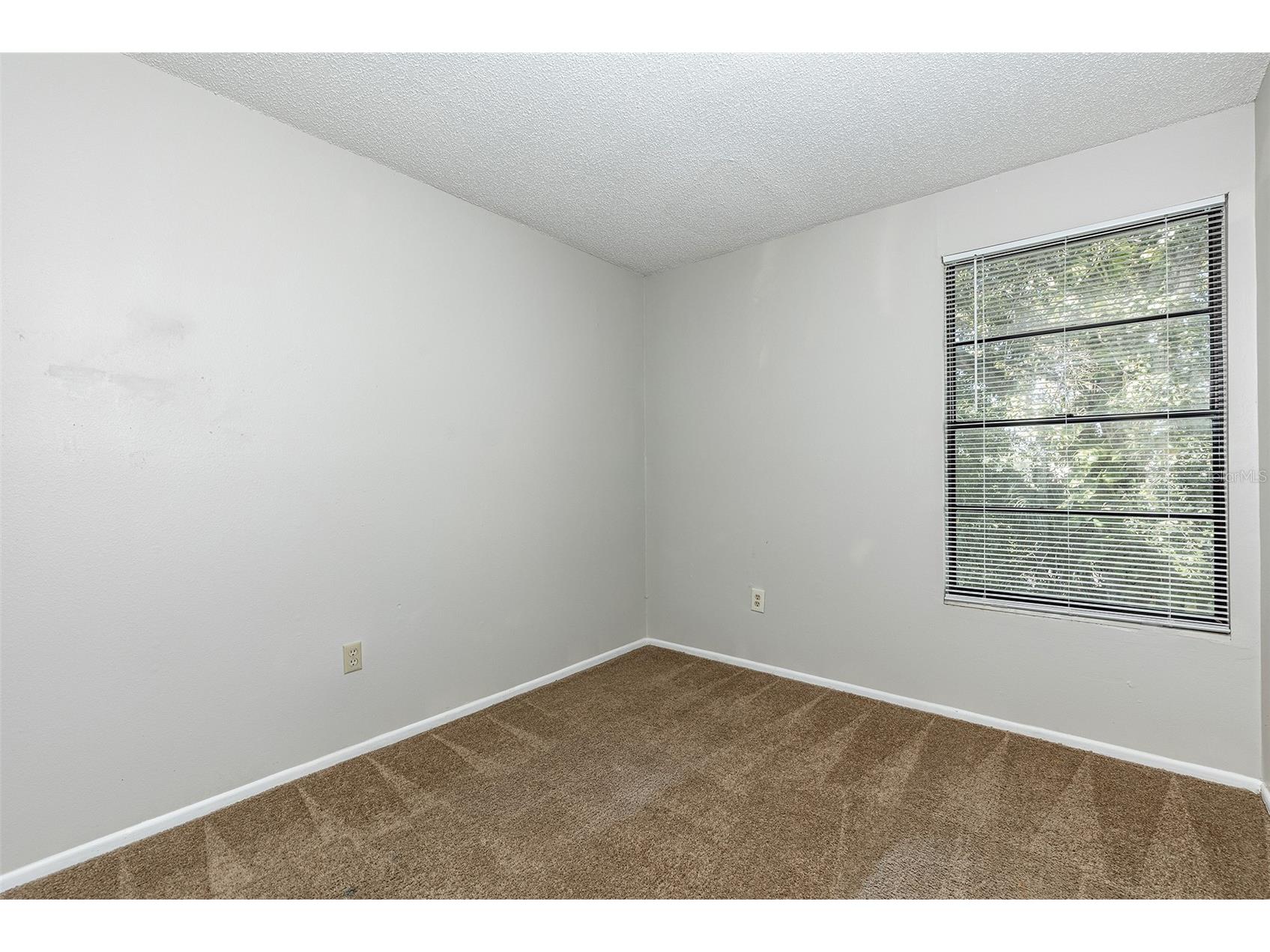 2517 E Stanley Matthew Circle Tampa FL 33604 TB8519150 image14
