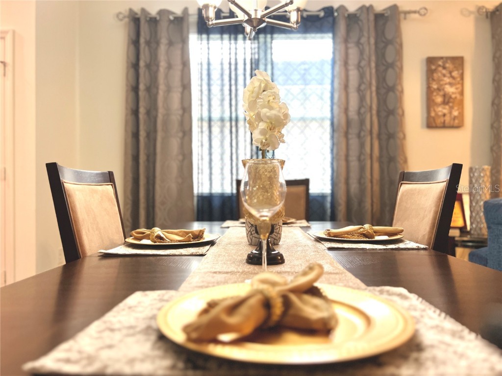 2517 Interlock Drive Kissimmee FL 34741 O6348891 image20