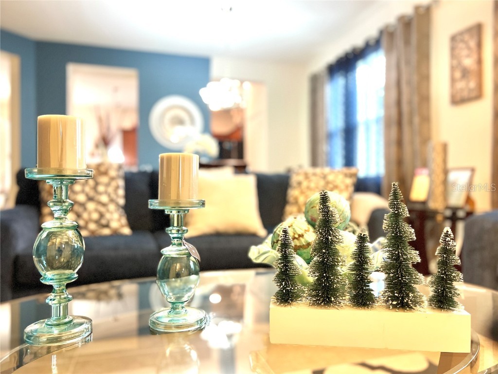 2517 Interlock Drive Kissimmee FL 34741 O6348891 image21