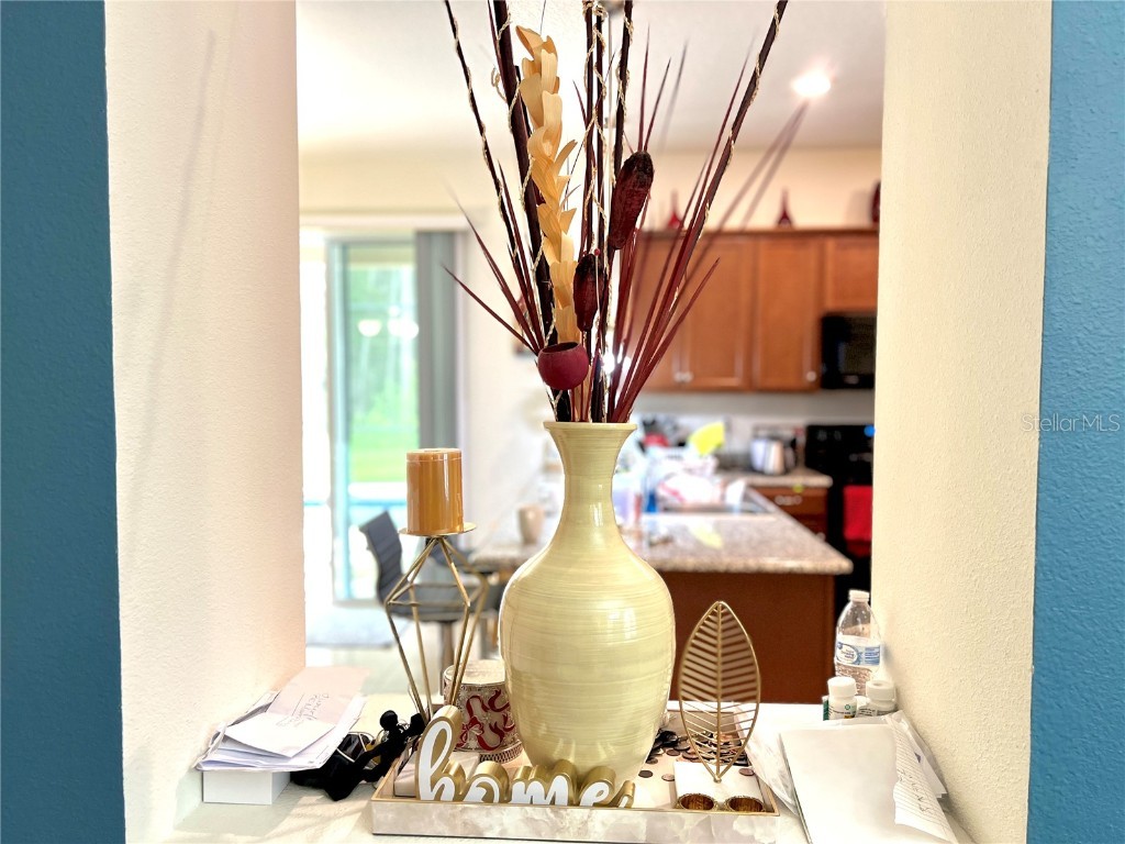 2517 Interlock Drive Kissimmee FL 34741 O6348891 image22