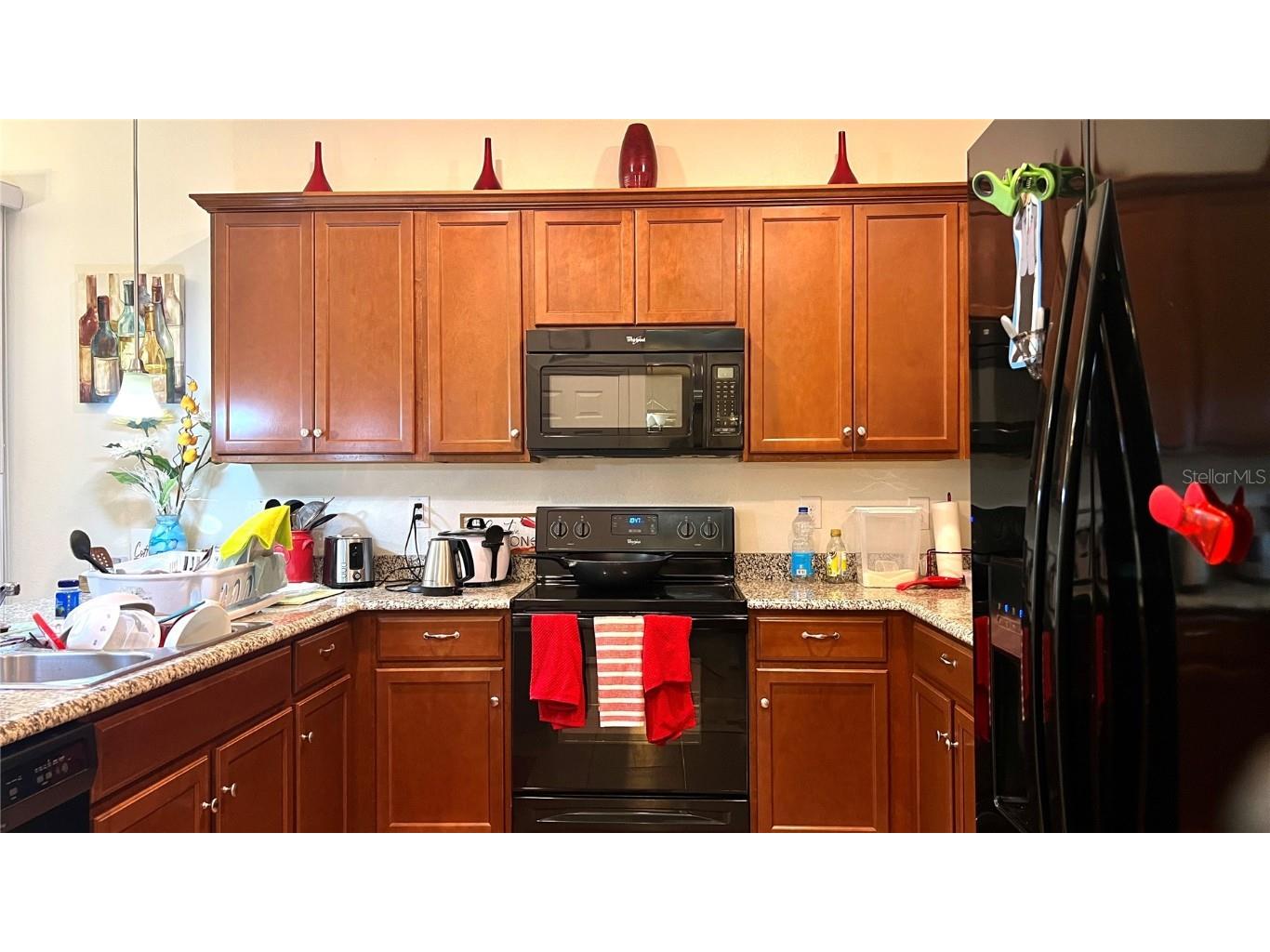 2517 Interlock Drive Kissimmee FL 34741 O6348891 image26