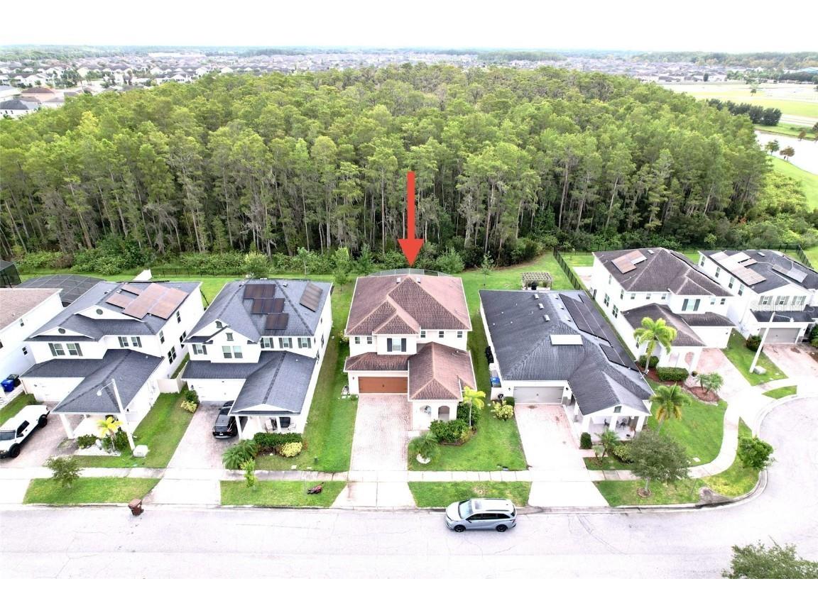 2517 Interlock Drive Kissimmee FL 34741 O6348891 image3