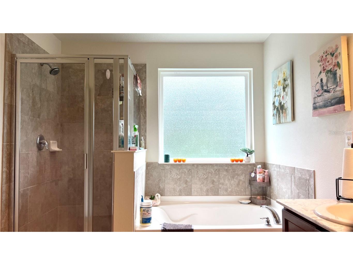 2517 Interlock Drive Kissimmee FL 34741 O6348891 image36