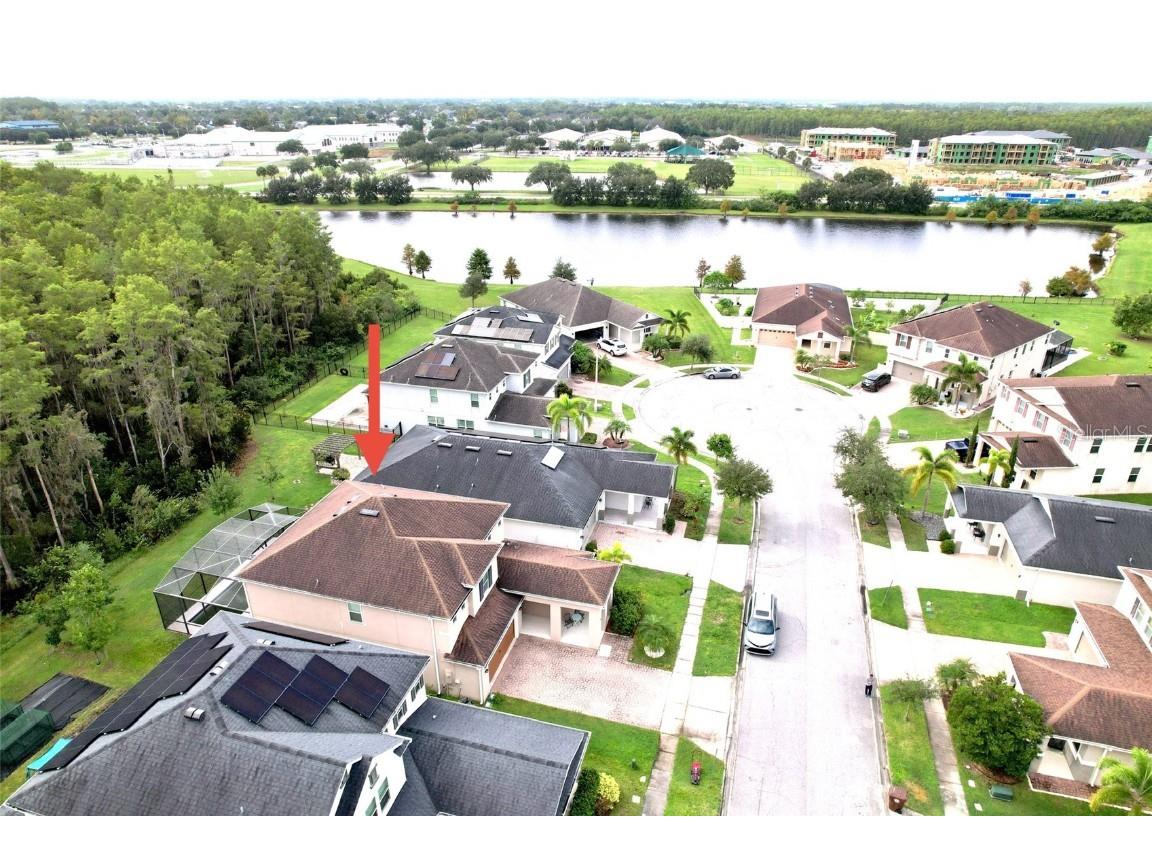 2517 Interlock Drive Kissimmee FL 34741 O6348891 image5