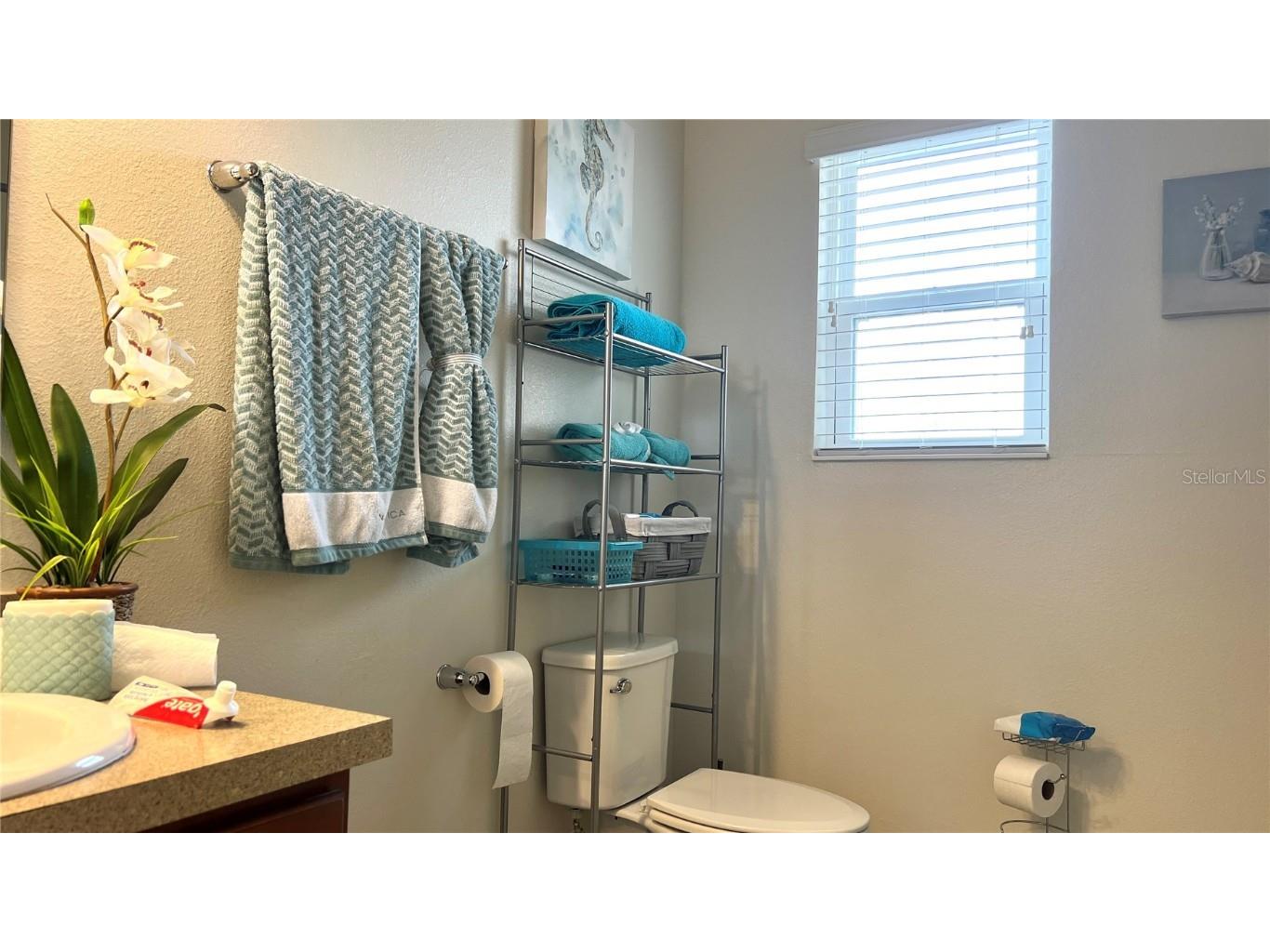 2517 Interlock Drive Kissimmee FL 34741 O6348891 image50