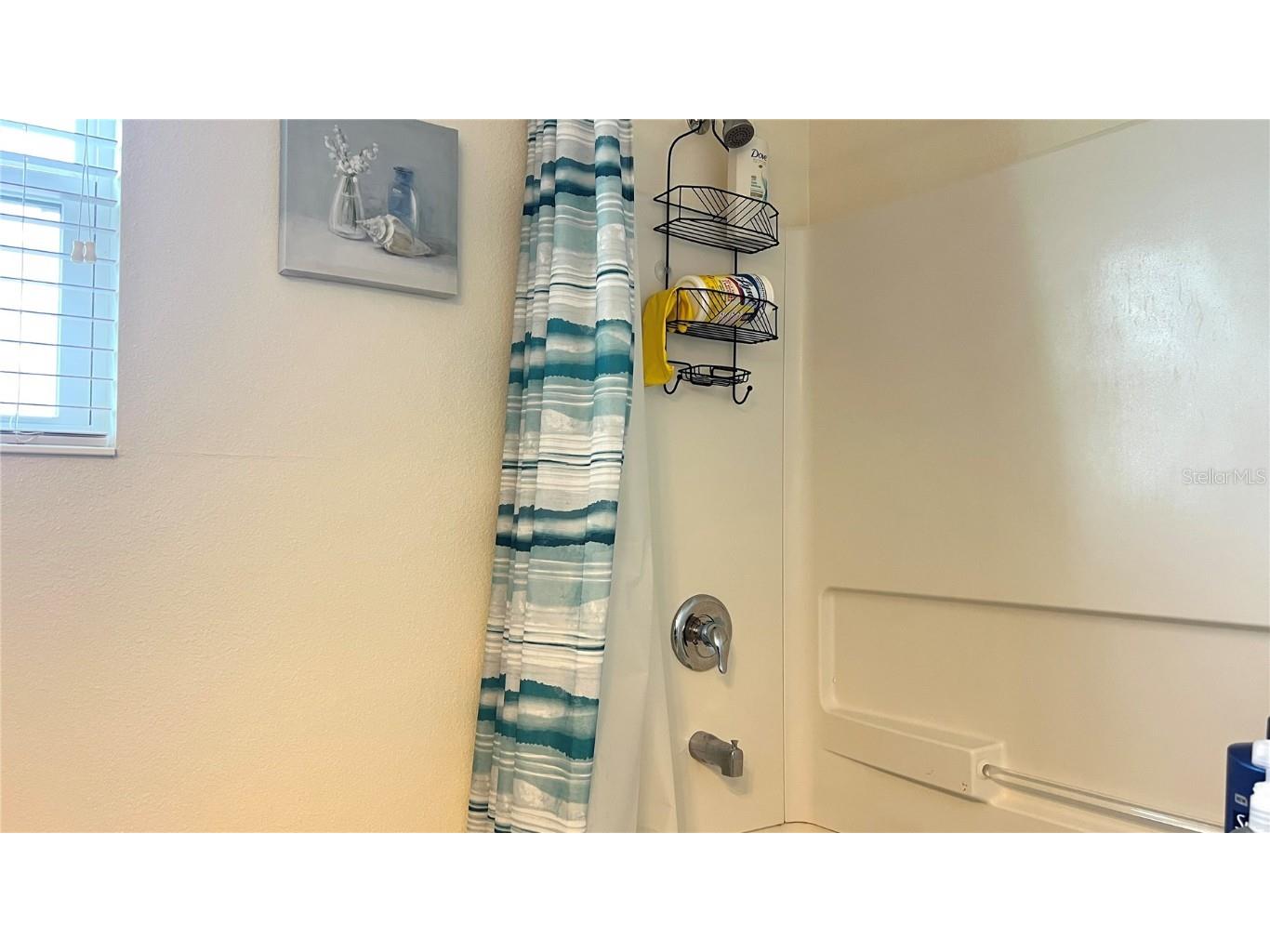 2517 Interlock Drive Kissimmee FL 34741 O6348891 image51