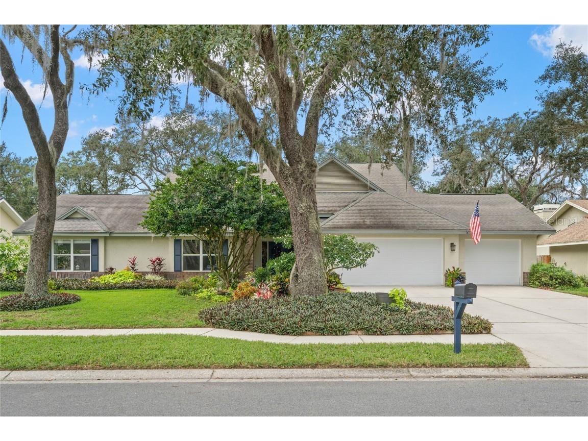 2517 Mason Oaks Drive Valrico FL 33596 T3419177 image1