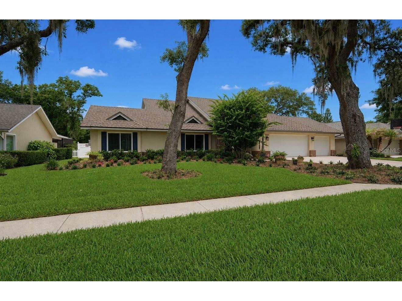 2517 Mason Oaks Drive Valrico FL 33596 TB8527869 image62