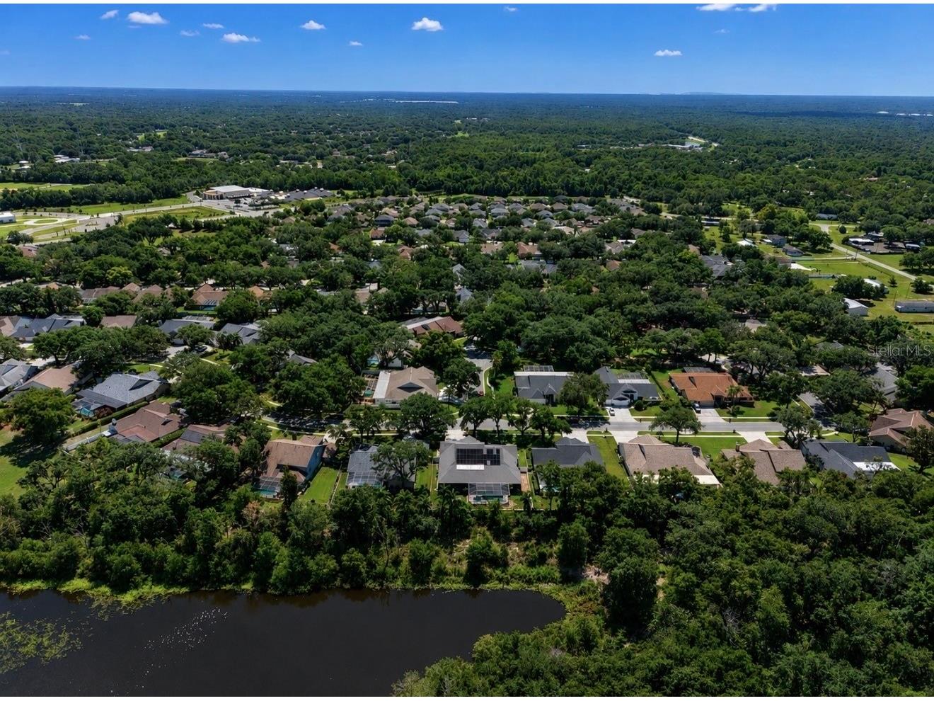 2517 Mason Oaks Drive Valrico FL 33596 TB8527869 image68