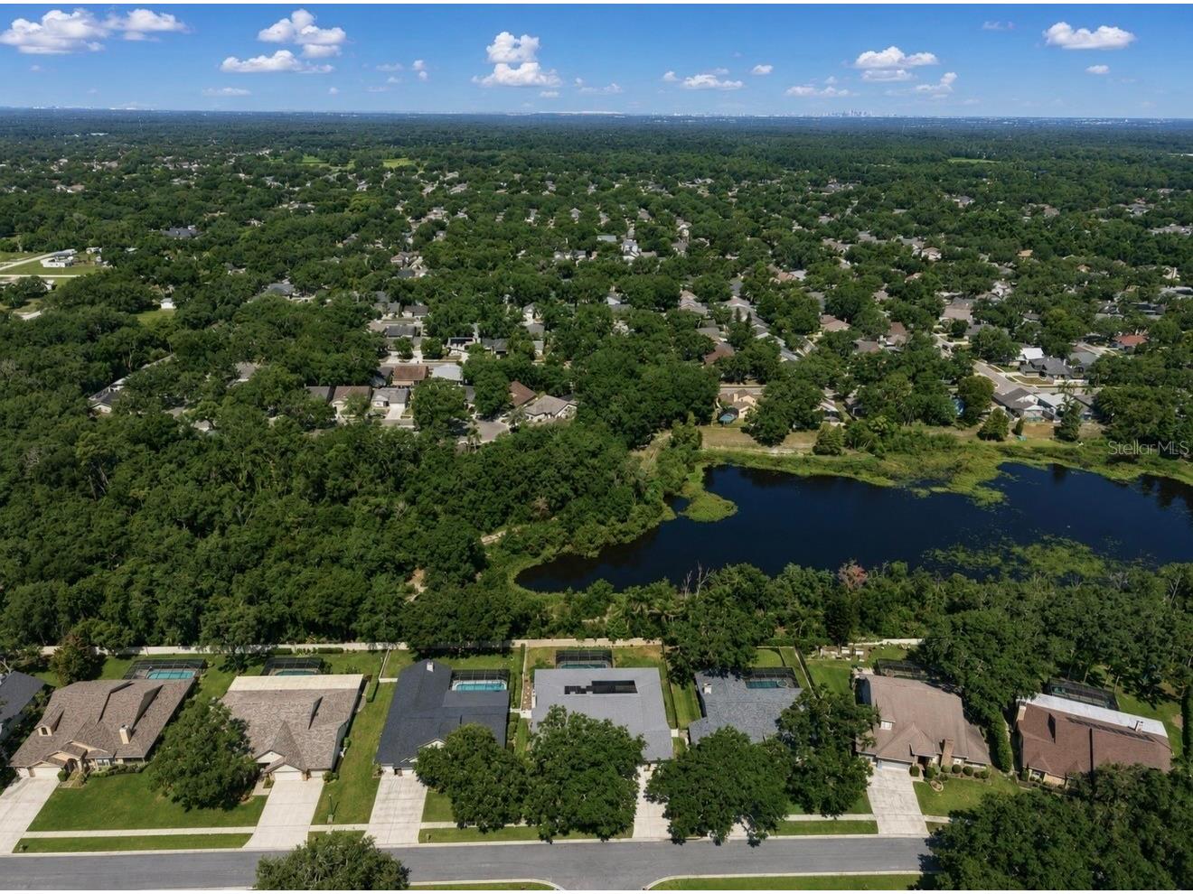 2517 Mason Oaks Drive Valrico FL 33596 TB8527869 image69