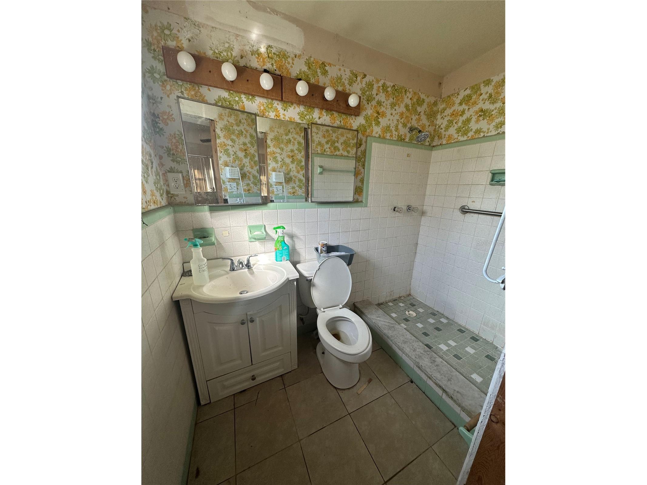 2517 Palm Avenue Mims FL 32754 A4686218 image10