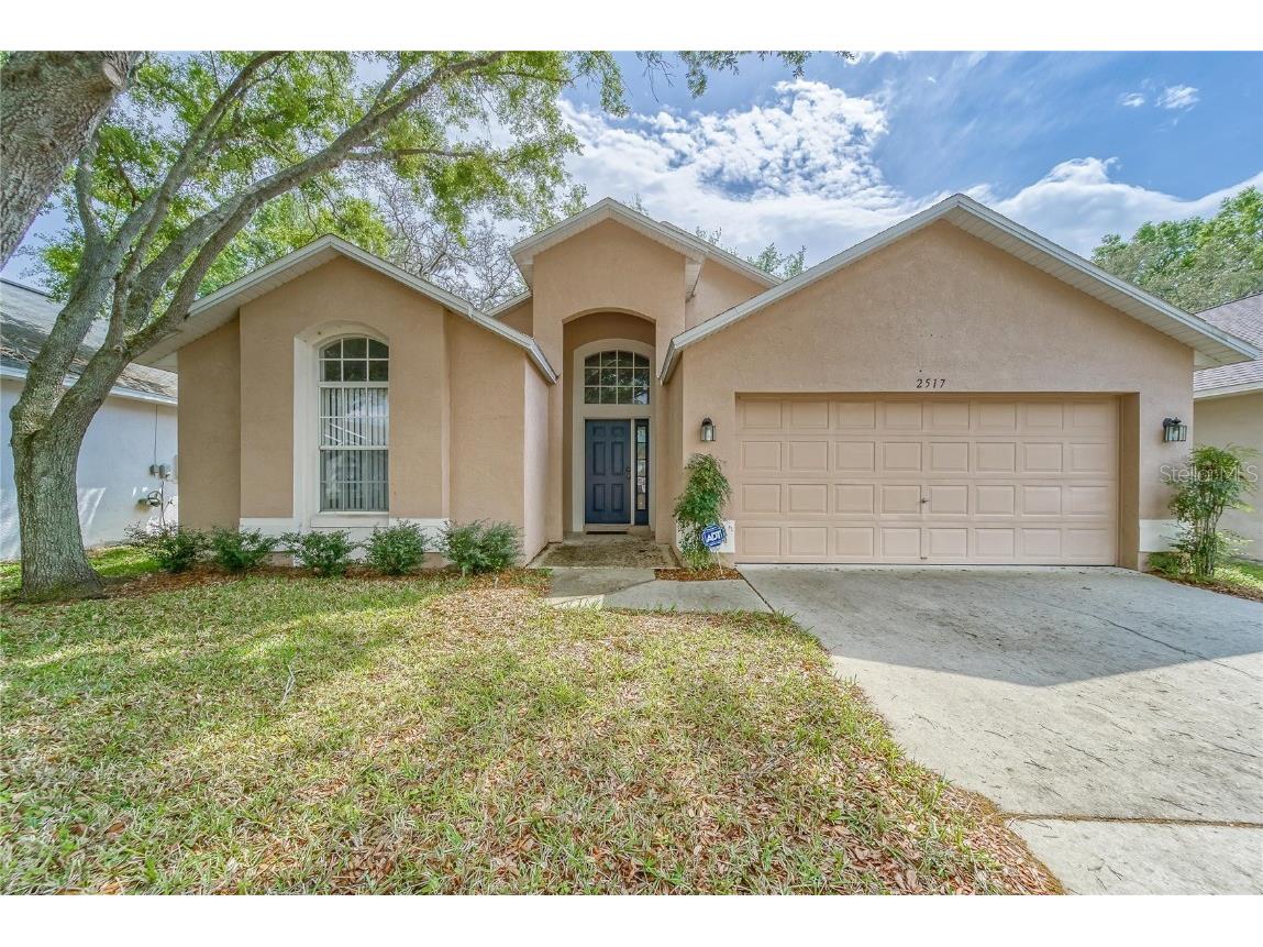 2517 Siena Way Valrico FL 33596 T3432143 image1