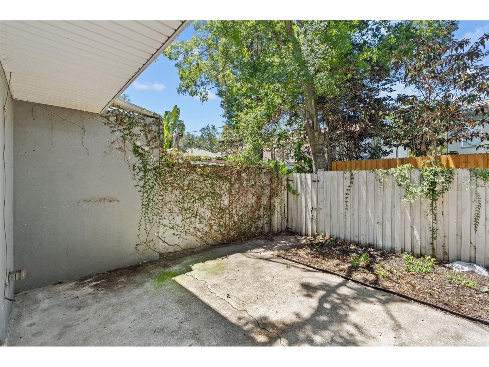 2517 W Tennessee Avenue Tampa FL 33629 TB8527784 image31