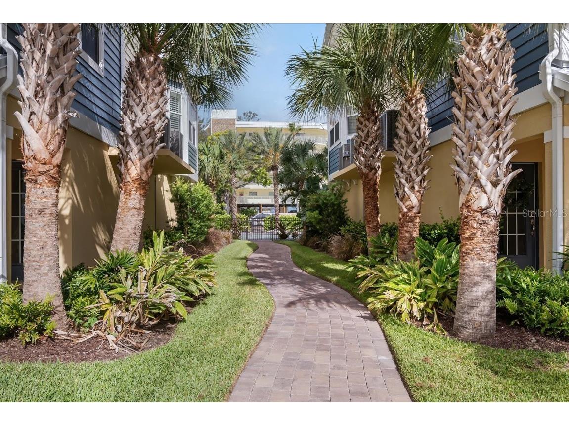 2518 Coral Court Indian Rocks Beach FL 33785 TB8444266 image36