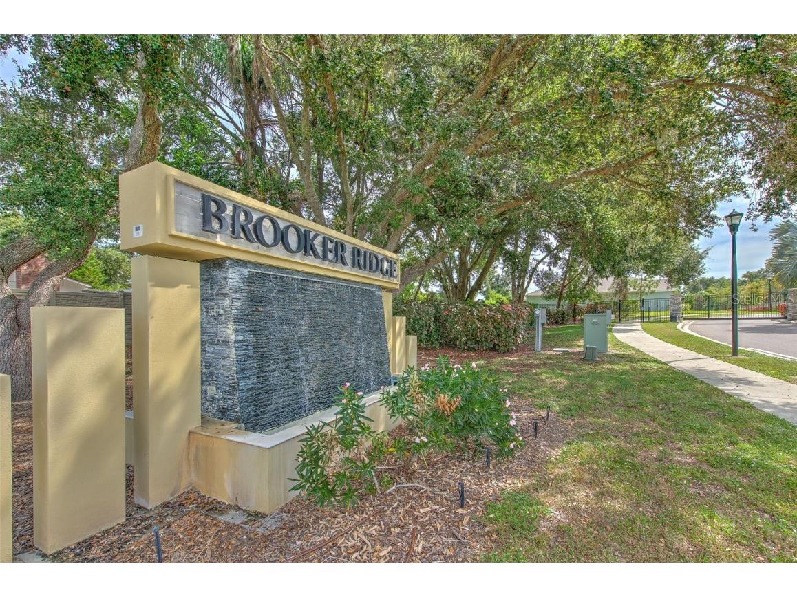 2518 Knight Island Drive Brandon FL 33511 TB8431215 image3