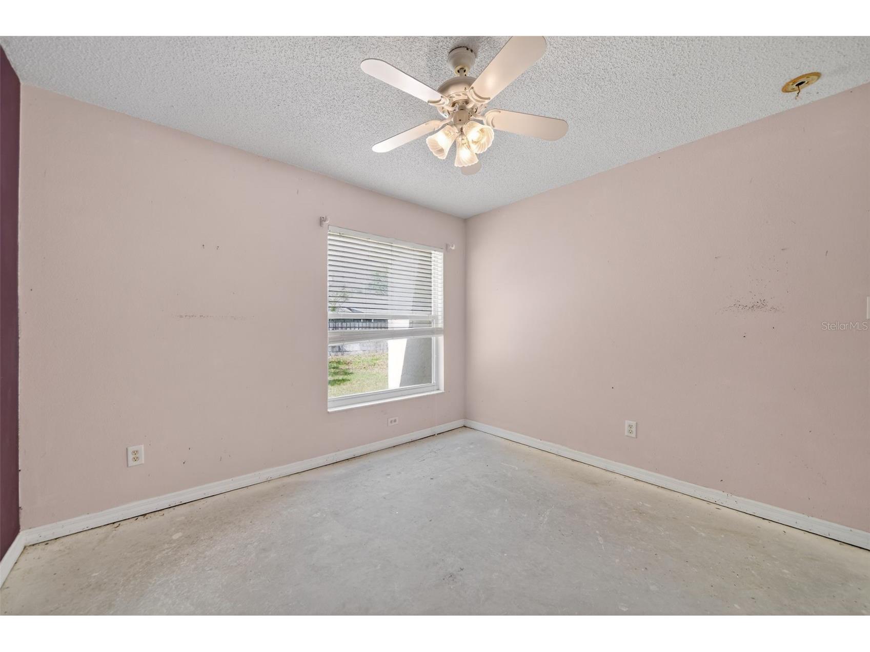 2518 Maywood Street Eustis FL 32726 O6394555 image10