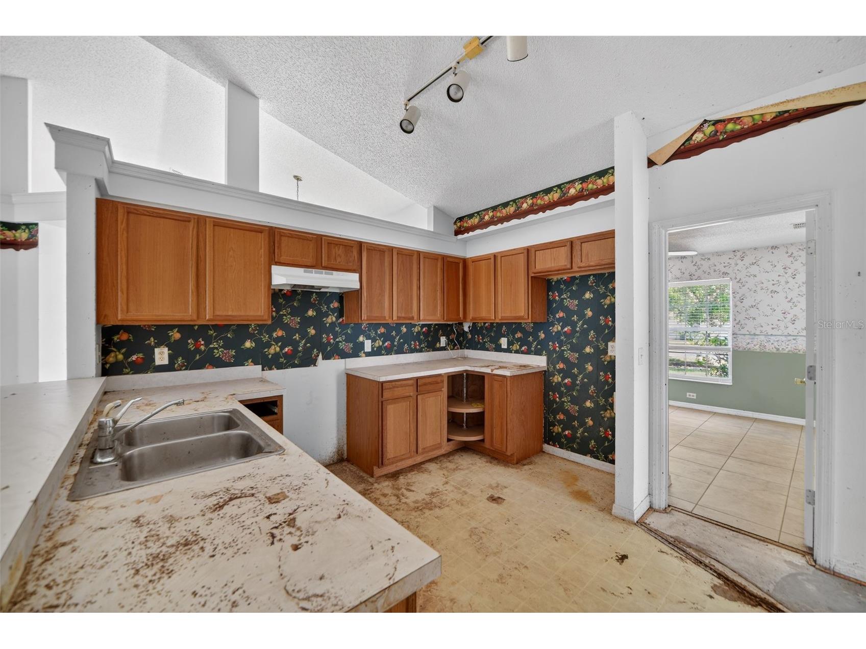 2518 Maywood Street Eustis FL 32726 O6394555 image22
